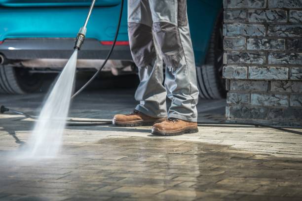 Best Fleet Vehicle Washing  in Woodlawn Beach, FL
