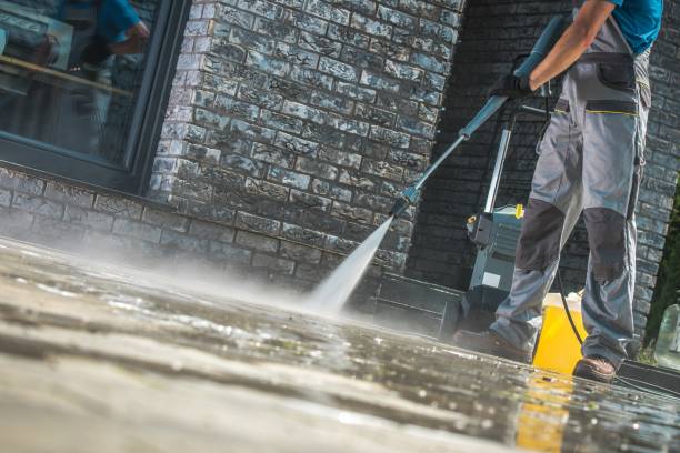 Best Animal Enclosure Cleaning  in Woodlawn Beach, FL