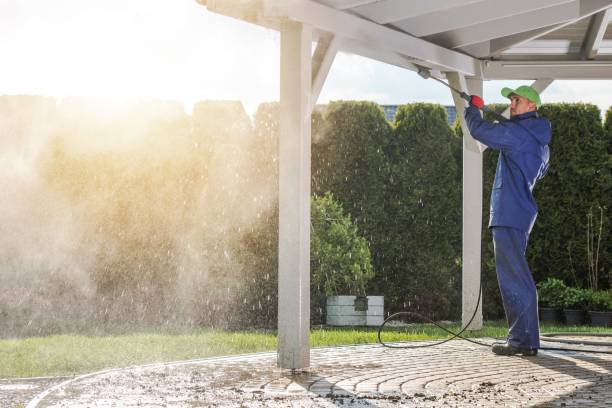 Best Roof Washing  in Woodlawn Beach, FL