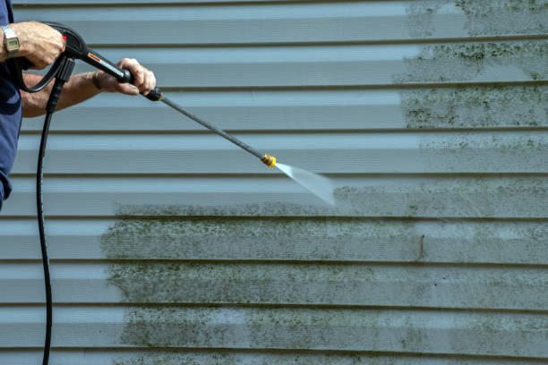 Best Spring Cleaning  in Woodlawn Beach, FL