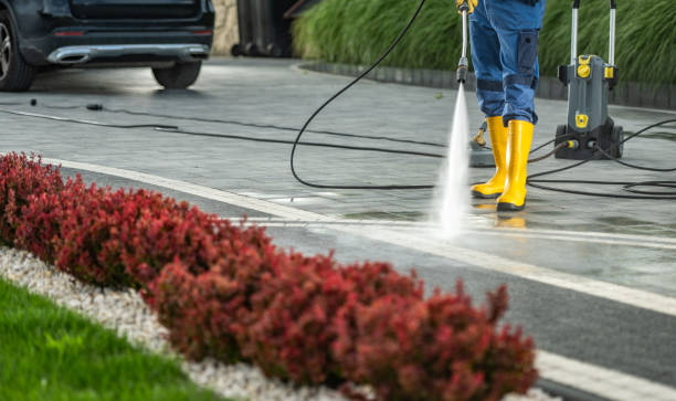 Best Solar Panel Cleaning  in Woodlawn Beach, FL